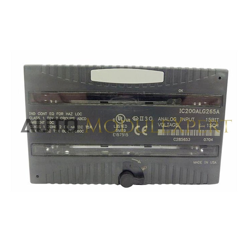 IC200ALG265 | GE FANUC Analog Input Module