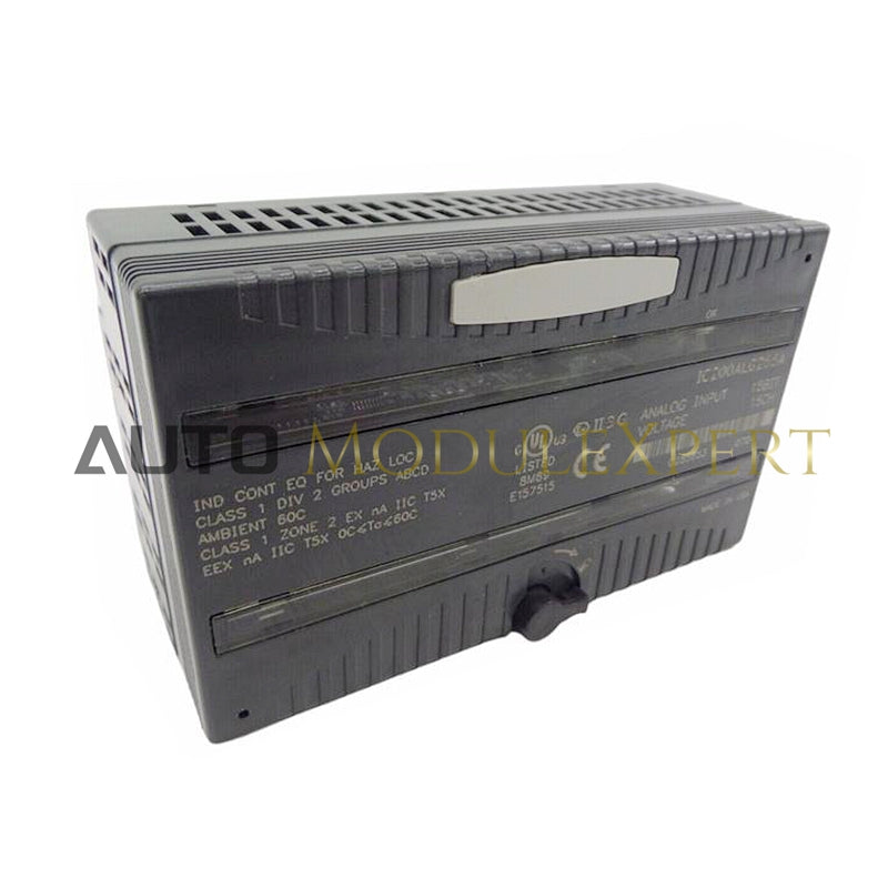 IC200ALG265 | GE FANUC Analog Input Module