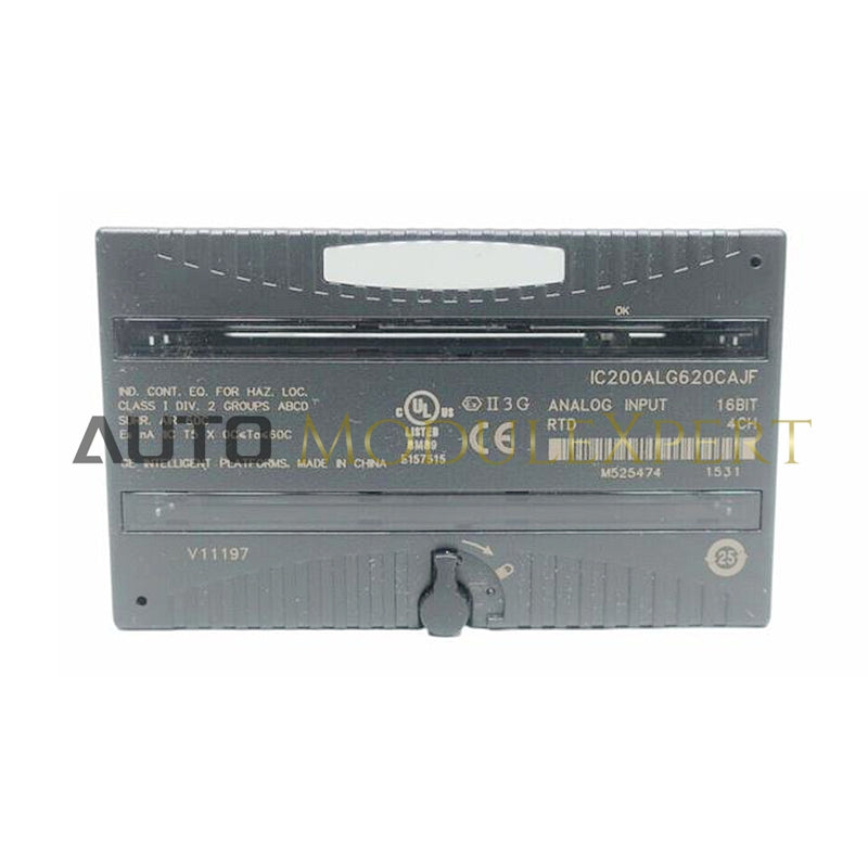 IC200ALG620 GE FANUC Analog Input Module