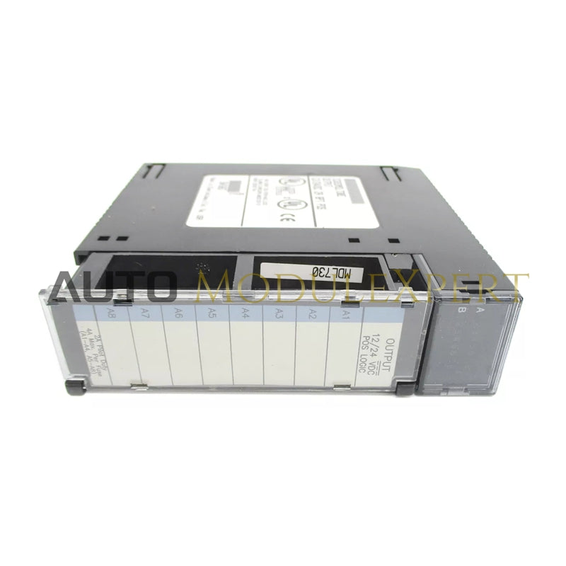 IC693MDL730 | GE FANUC Positive Logic Output Module